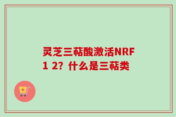 灵芝三萜酸激活NRF1 2?什么是三萜类 灵芝三萜酸激活NRF1 2?什么是三萜类