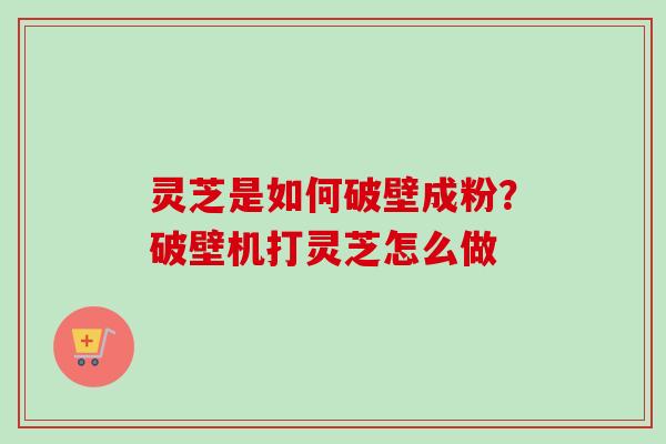 灵芝是如何破壁成粉？破壁机打灵芝怎么做