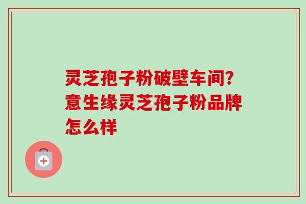 灵芝孢子粉破壁车间?意生缘灵芝孢子粉品牌怎么样 灵芝孢子粉破壁车间?意生缘灵芝孢子粉品牌怎么样