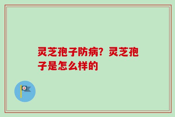 灵芝孢子防病？灵芝孢子是怎么样的