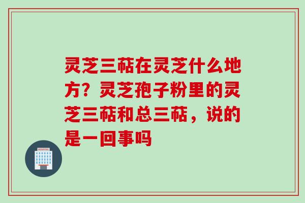灵芝三萜在灵芝什么地方？灵芝孢子粉里的灵芝三萜和总三萜，说的是一回事吗