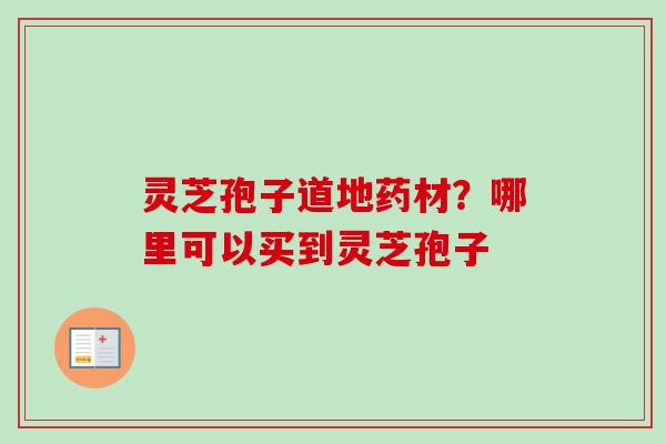 灵芝孢子道地药材？哪里可以买到灵芝孢子