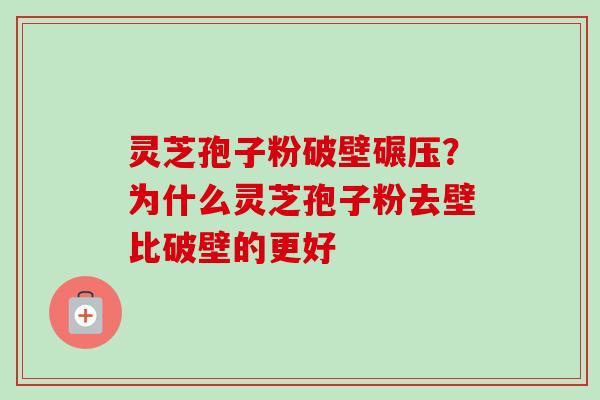 灵芝孢子粉破壁碾压？为什么灵芝孢子粉去壁比破壁的更好