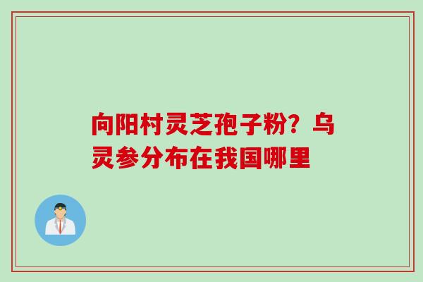 向阳村灵芝孢子粉?乌灵参分布在我国哪里 向阳村灵芝孢子粉?乌灵参分布在我国哪里