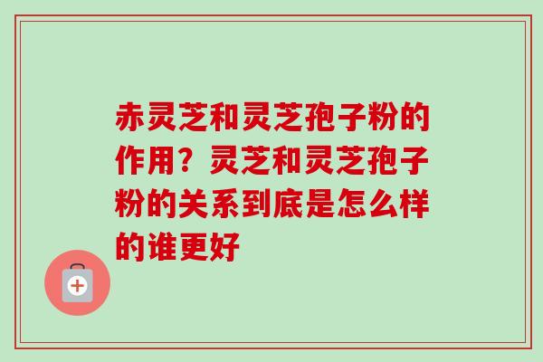 赤灵芝和灵芝孢子粉的作用？灵芝和灵芝孢子粉的关系到底是怎么样的谁更好