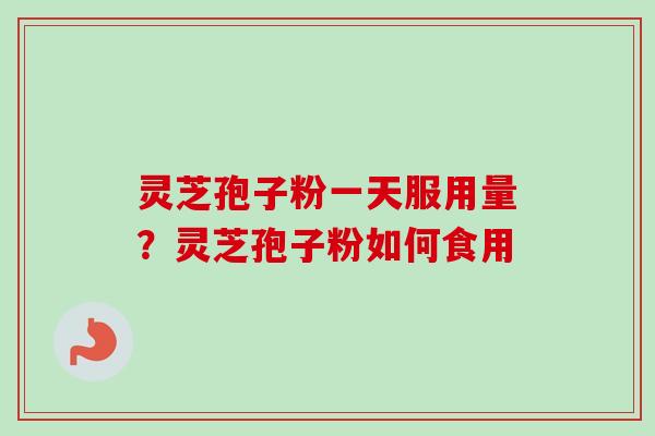 灵芝孢子粉一天服用量？灵芝孢子粉如何食用