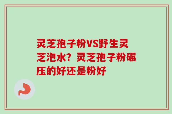 灵芝孢子粉VS野生灵芝泡水？灵芝孢子粉碾压的好还是粉好