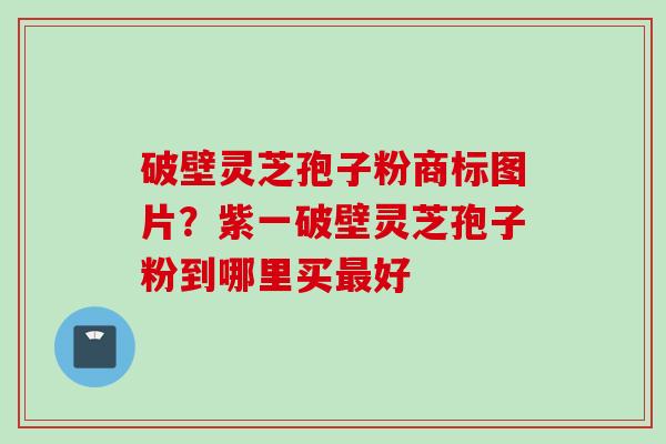 破壁灵芝孢子粉商标图片？紫一破壁灵芝孢子粉到哪里买最好
