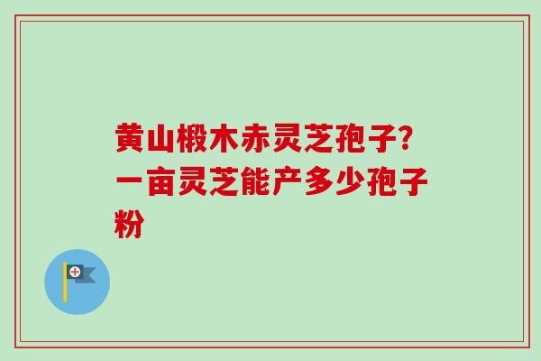 黄山椴木赤灵芝孢子？一亩灵芝能产多少孢子粉