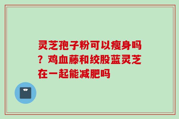 灵芝孢子粉可以瘦身吗？鸡血藤和绞股蓝灵芝在一起能减肥吗