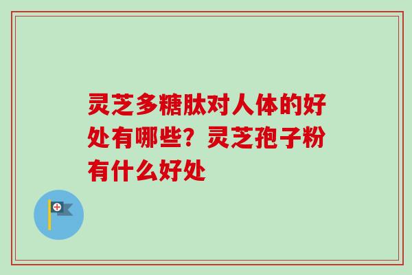 灵芝多糖肽对人体的好处有哪些？灵芝孢子粉有什么好处