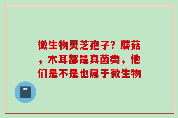 微生物灵芝孢子？蘑菇，木耳都是真菌类，他们是不是也属于微生物
