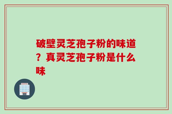 破壁灵芝孢子粉的味道？真灵芝孢子粉是什么味