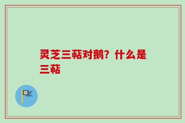 灵芝三萜对鹅?什么是三萜 灵芝三萜对鹅?什么是三萜
