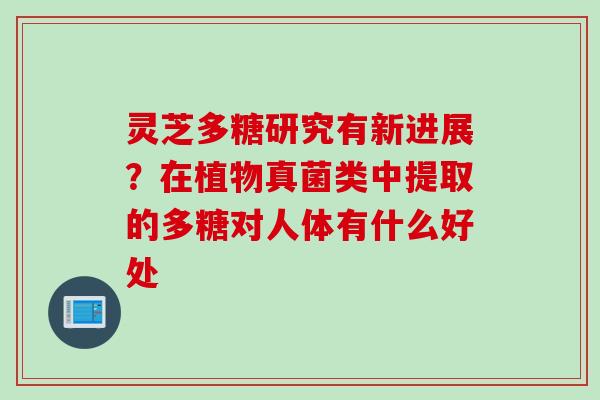 灵芝多糖研究有新进展?在植物真菌类中提取的多糖对人体有什么好处 灵芝多糖研究有新进展?在植物真菌类中提取的多糖对人体有什么好处