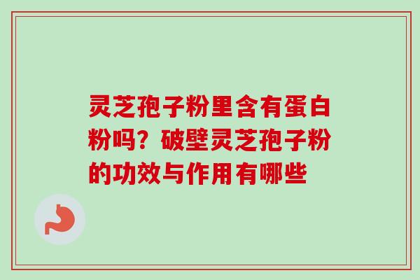 灵芝孢子粉里含有蛋白粉吗？破壁灵芝孢子粉的功效与作用有哪些