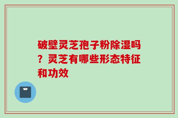 破壁灵芝孢子粉除湿吗？灵芝有哪些形态特征和功效