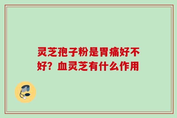 灵芝孢子粉是胃痛好不好？血灵芝有什么作用