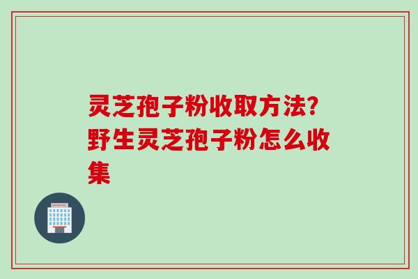 灵芝孢子粉收取方法？野生灵芝孢子粉怎么收集