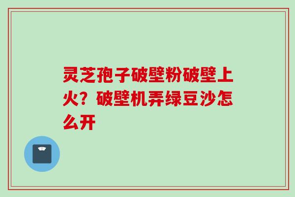 灵芝孢子破壁粉破壁上火？破壁机弄绿豆沙怎么开