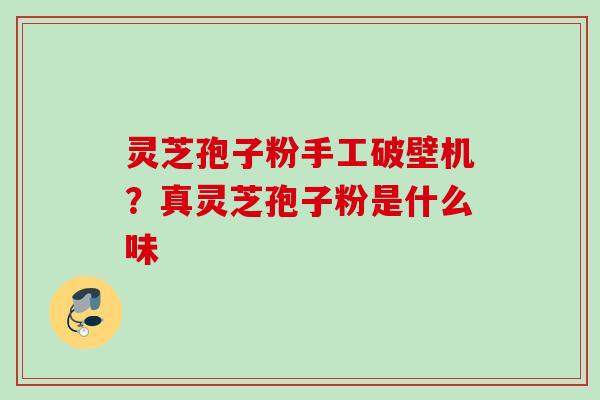 灵芝孢子粉手工破壁机？真灵芝孢子粉是什么味