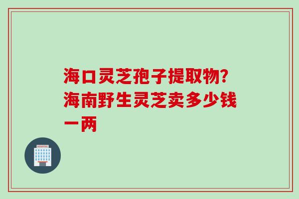 海口灵芝孢子提取物？海南野生灵芝卖多少钱一两
