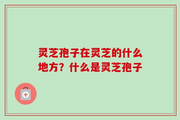 灵芝孢子在灵芝的什么地方?什么是灵芝孢子 灵芝孢子在灵芝的什么地方?什么是灵芝孢子