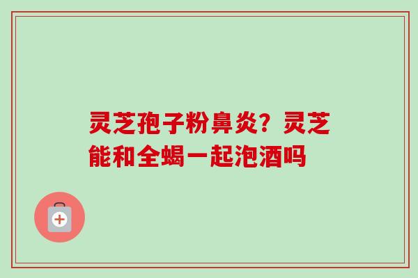灵芝孢子粉鼻炎？灵芝能和全蝎一起泡酒吗