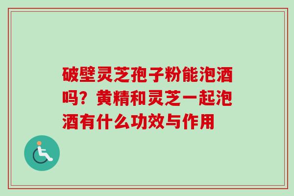 破壁灵芝孢子粉能泡酒吗？黄精和灵芝一起泡酒有什么功效与作用