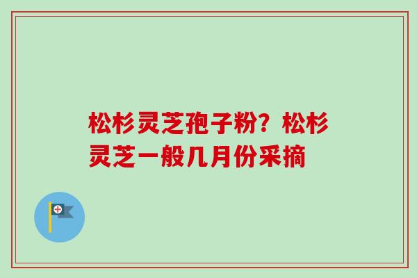松杉灵芝孢子粉？松杉灵芝一般几月份采摘