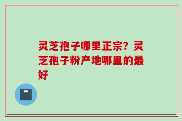 灵芝孢子哪里正宗？灵芝孢子粉产地哪里的最好