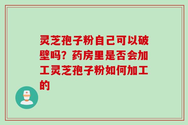灵芝孢子粉自己可以破壁吗？药房里是否会加工灵芝孢子粉如何加工的