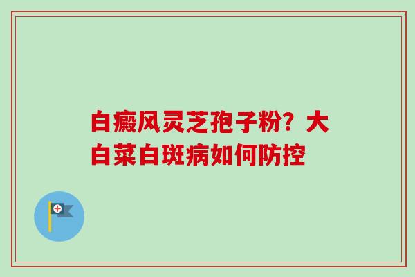 白癜风灵芝孢子粉？大白菜白斑病如何防控