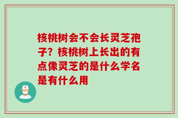 核桃树会不会长灵芝孢子？核桃树上长出的有点像灵芝的是什么学名是有什么用