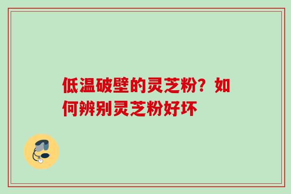 低温破壁的灵芝粉？如何辨别灵芝粉好坏