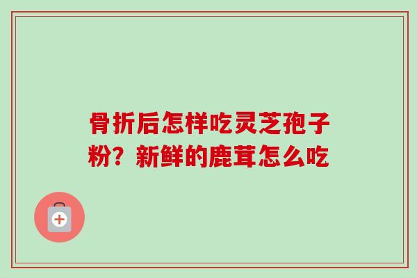 骨折后怎样吃灵芝孢子粉？新鲜的鹿茸怎么吃