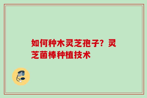 如何种木灵芝孢子？灵芝菌棒种植技术