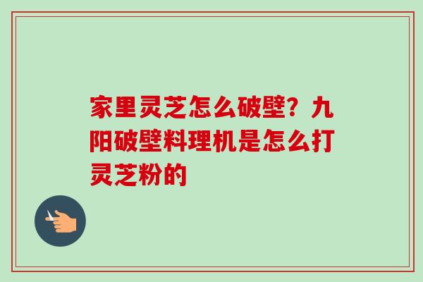 家里灵芝怎么破壁？九阳破壁料理机是怎么打灵芝粉的
