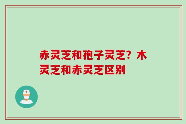 赤灵芝和孢子灵芝？木灵芝和赤灵芝区别
