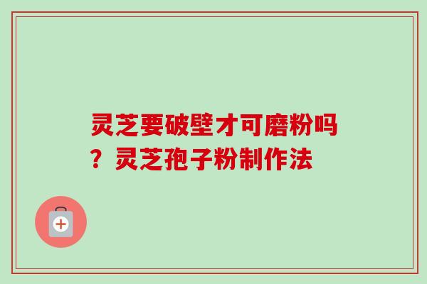 灵芝要破壁才可磨粉吗？灵芝孢子粉制作法