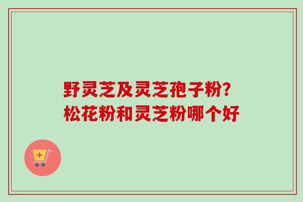 野灵芝及灵芝孢子粉?松花粉和灵芝粉哪个好 野灵芝及灵芝孢子粉?松花粉和灵芝粉哪个好