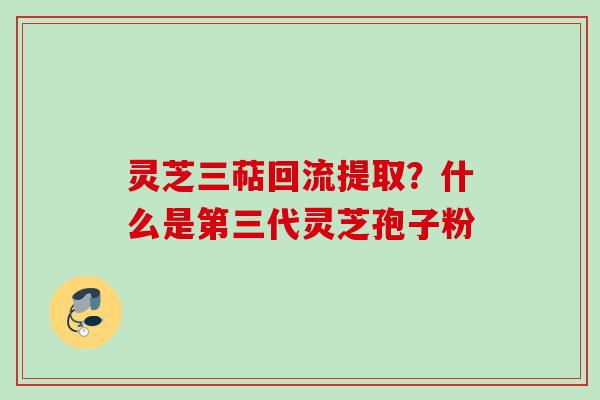 灵芝三萜回流提取？什么是第三代灵芝孢子粉