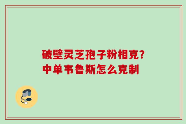 破壁灵芝孢子粉相克？中单韦鲁斯怎么克制