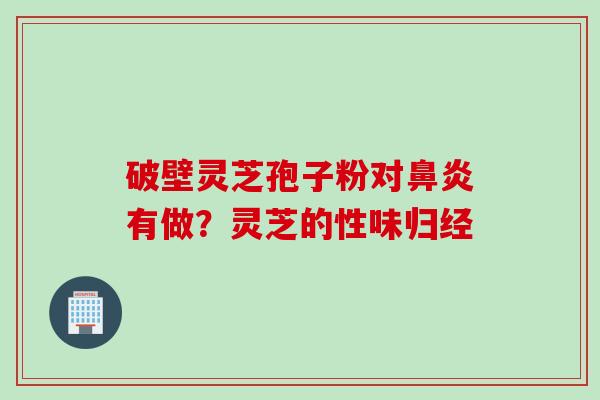 破壁灵芝孢子粉对鼻炎有做？灵芝的性味归经