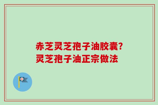 赤芝灵芝孢子油胶囊？灵芝孢子油正宗做法