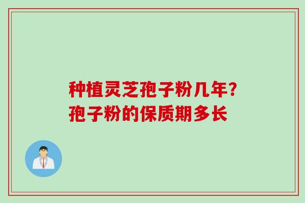 种植灵芝孢子粉几年？孢子粉的保质期多长