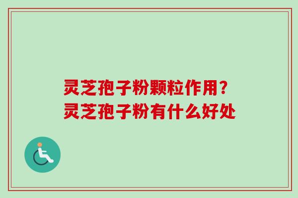 灵芝孢子粉颗粒作用？灵芝孢子粉有什么好处