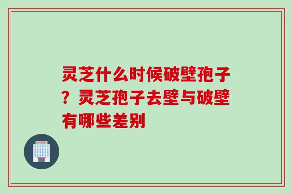 灵芝什么时候破壁孢子？灵芝孢子去壁与破壁有哪些差别