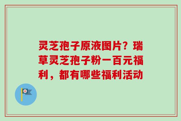 灵芝孢子原液图片？瑞草灵芝孢子粉一百元福利，都有哪些福利活动