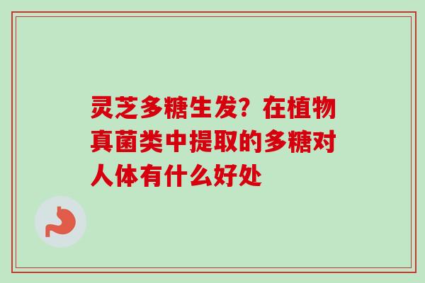 灵芝多糖生发？在植物真菌类中提取的多糖对人体有什么好处